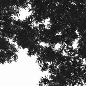 欧美日韩一区二区综合
