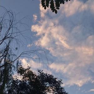 欧美日韩一区二区综合
