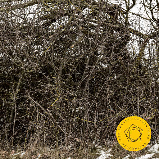 欧美日韩一区二区综合
